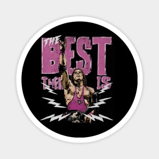 Bret Hart The Best There Is Magnet